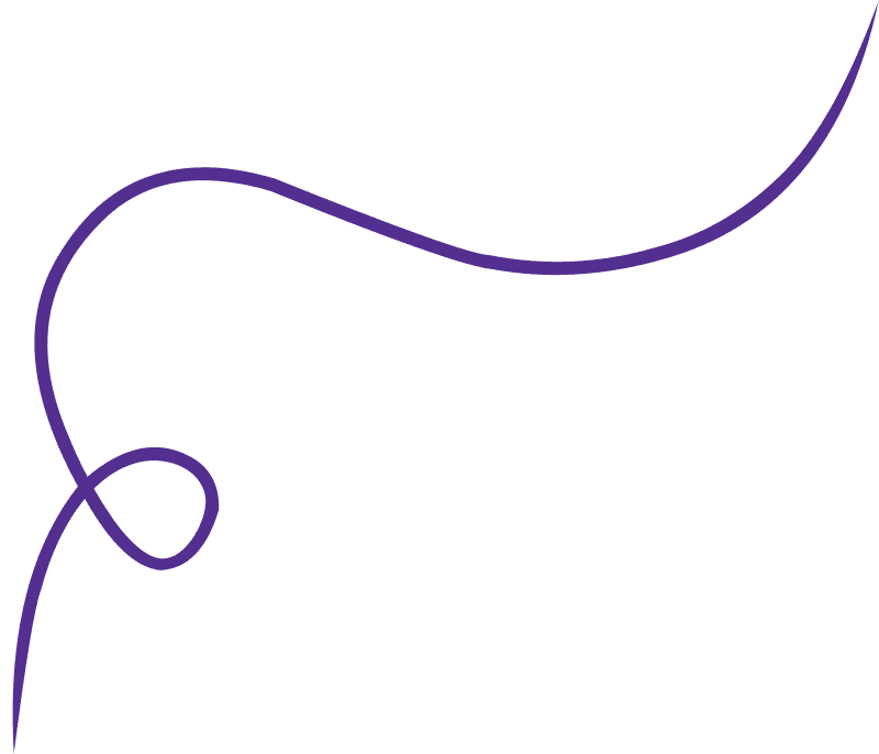 Decorative Purple Line